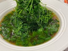 -新梅华餐厅(星悦汇店)
