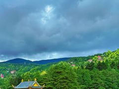 -庐山风景区花径公园