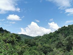 -野象谷景区