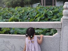 -莲湖公园