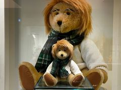 -济州岛泰迪熊博物馆