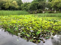 -白塘生态植物园