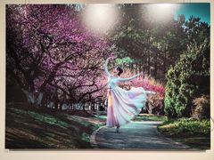 -宝山区文化馆-停车场