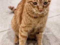 -藏猫猫咖啡主题馆(中央大道店)