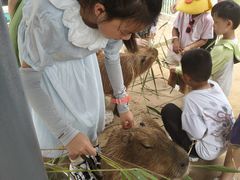 -西霞口神雕山野生动物世界