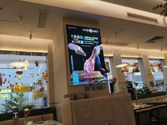 -Aqua Oasis 水天堂(太湖中心mall店)