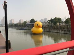 -菊园百果园