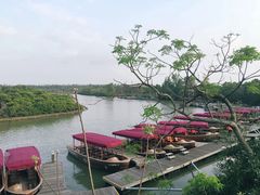 -东寨港红树林旅游区