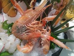 -海玥荟海鲜姿造自助餐厅(欧罗巴广场店)