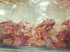 -盒马鲜生(财富中心店)