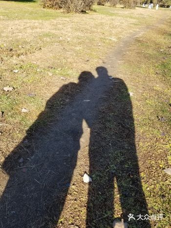 等下雪时我会再来这里看看这儿的雪景