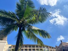 -丰泰花园酒店热矿泉