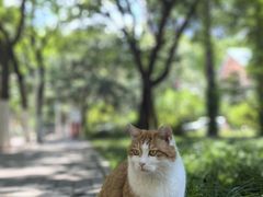 -中国农业大学(西校区)