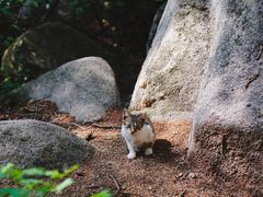 -崂山巨峰游览区