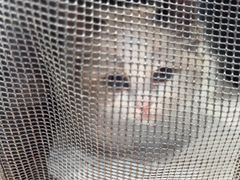 -芭比堂动物医院·CT·微创中心(新顺分院)