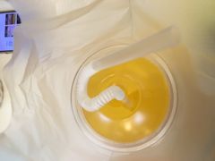 芒果汁-志龙皇冠吃货椰子铺