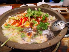 -鸭嘴鱼