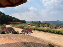 -中国香山·寿香谷