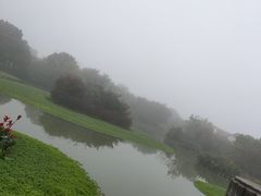 -乌村