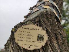 -睦南公园