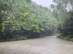 -同里国家湿地公园