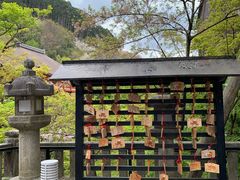 -有栖山 清光院 清水寺
