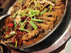-老板恋上鱼(高新万达店)