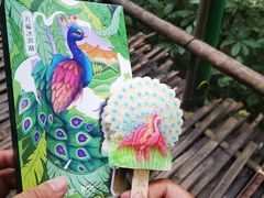 -西双版纳原始森林公园