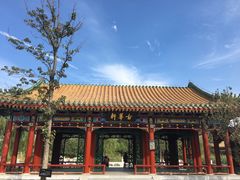 -武清南湖绿博园