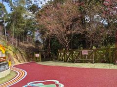 -广州市流溪河国家森林公园