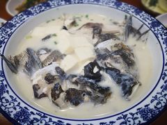 -全乐鱼馆·淳牌有机鱼直营店