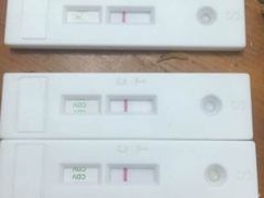 自己在家测的-天使宠物医院·犬猫分诊(彩虹店)