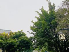 -龙潭水乡