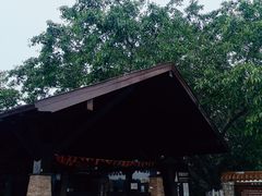 -东寨港红树林旅游区