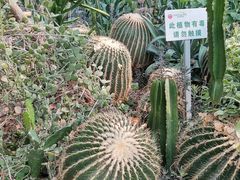 -西安世博园