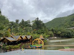 -西双版纳原始森林公园