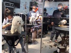 -宠物家(角门东店)