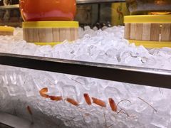 -乌鲁木齐环球国际大酒店