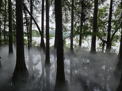 -东湖落雁景区