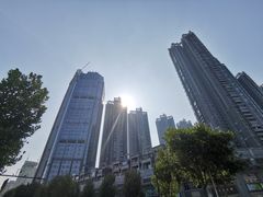 -武汉关码头(轮渡站)