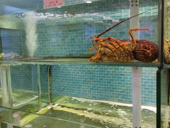 -东国海鲜火锅城(氹仔店)