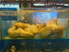 -小渔船渔家传统菜(鲅鱼圈店)