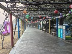 -苏州太湖西山岛开心农场