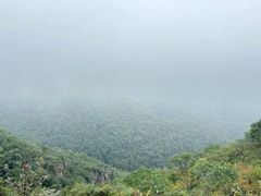 -灵山