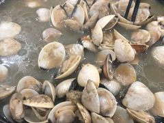 -顺德哥卜卜贝(旗舰店)