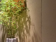 -竹里馆 ·茶食(奥体店)