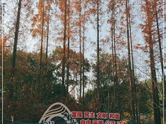 -徐家汇源景区-衡山公园