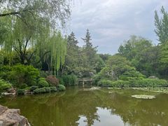 -秋霞圃
