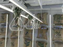 -% Arabica阿拉比卡咖啡(前滩太古里店)