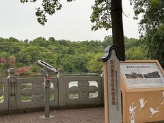 -广州莲花山旅游区
